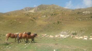 Sardekagaña (1893m) Mintxate aldetik