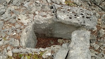 Debata Arruazu I trikuharria