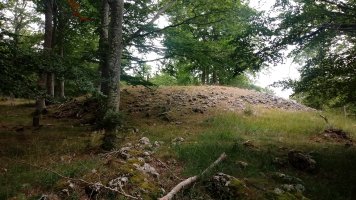 Ekialdeko Elurmenta trikuharria