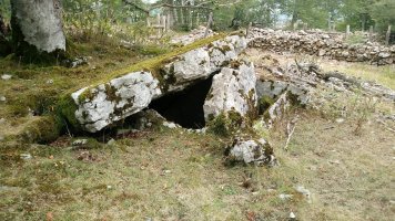 Erregeneko Debata III trikuharria