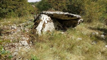 Zubeinta trikuharria