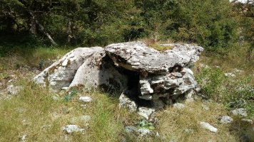 Zubeinta trikuharria