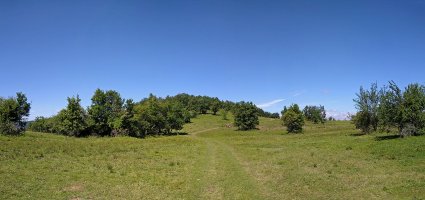 Muskildoia ekialdeko lepotik