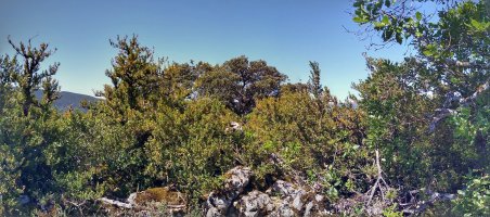 Muskildoiako gailurra