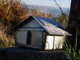 Mostatxako txartelontzia