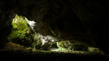 Aparein koba: hiru sarrera