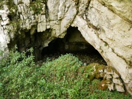 Aparein koba: hiru sarrera