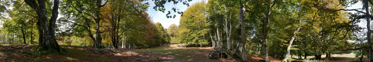 Tontorraren inguruak