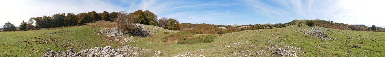 Oregigaña eta Aparein