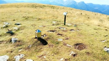 Larrondo (1703) tontorra