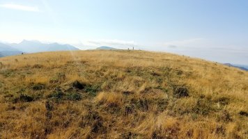 Larrondo (1703) tontorrera iristen