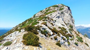 Ezkaurretxikia (1763m) igoerako gandorrean gora