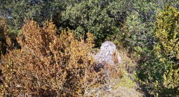 Pieza de Luis trikuharria