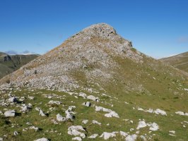 Urgoiti HEko lepotik