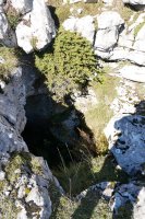 Urgoiti, leizea HEko lepoaren inguruan