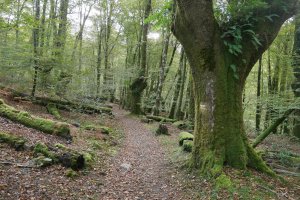 Eskasetik Artikutzara jaisten