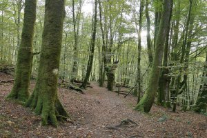 Eskasetik Artikutzara jaisten