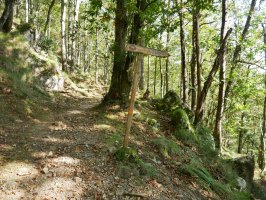 Seinalea bide bazterrean, trenbide zaharraren bidean