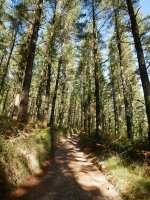 Ibilbidearen hasierako pasarte bat