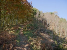 Mandoiara hego-ekialdetik igotzen den bidea