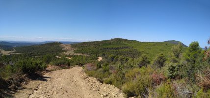 Kasedako mendateko pista