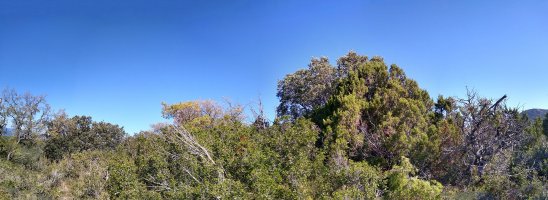 Vedadilloko gailurra