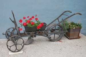 Goldea apaingarri, Lizarraga