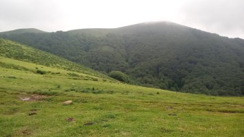 Okoro (1259m) Oialegiko lepotik