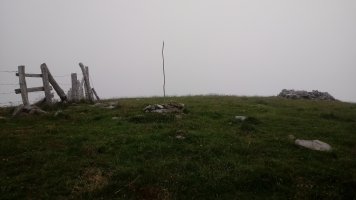 Okoro (1259m) tontorraldea