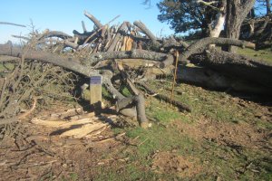 Cromlechs Mandale (Diciembre 2021)