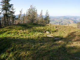 Diruzulo trikuharria