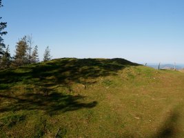 Diruzulo trikuharria