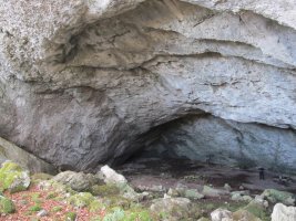 Amurutxateko Koba, Erregenea