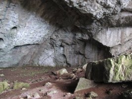 Amurutxateko koba, Erregenea