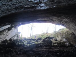 Amurutxateko Koba, Erregenea