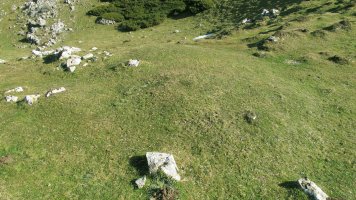 Iruzulo 1 hego etxola hondoa, Erregenea