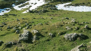 Arrate Zar tumulua, Erregenea