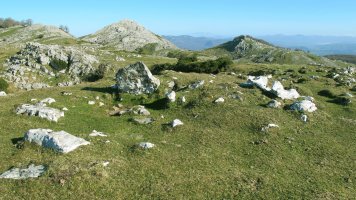 Ataka Xar trikuharria, Erregenea