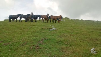 Behokak Aitzkoa gainean