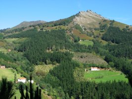 Oltzorrotz haitza HMtik