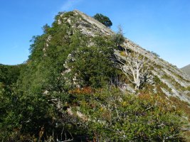 Oltzorrotz haitza Hegoaldetik ikusita