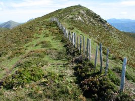 Tontorra Mendebaldetik