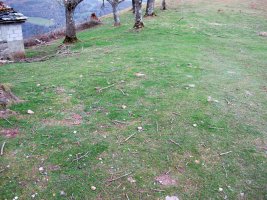 Bidegurutzeta trikuharria guztiz desagertua