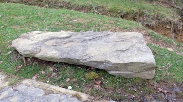 Trikuharriaren kamarako harri bat