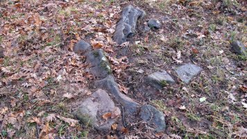 Bertsola trikuharria, Arriola-Asparrena