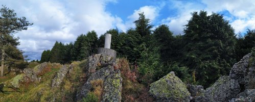 Erpin Geodesikodun Tontorra