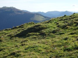 C. Tumular Kardaño T 1