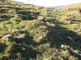 C. tumular Kardaño T 1