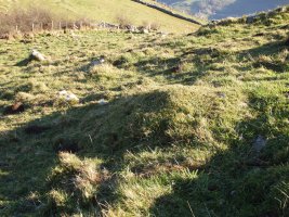 C. tumular Kardaño T 1