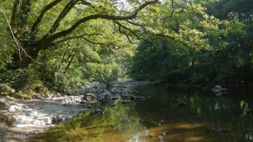 Bidasoa ibaia, Erreparatzeako zubiaren parean, Oieregi aldean